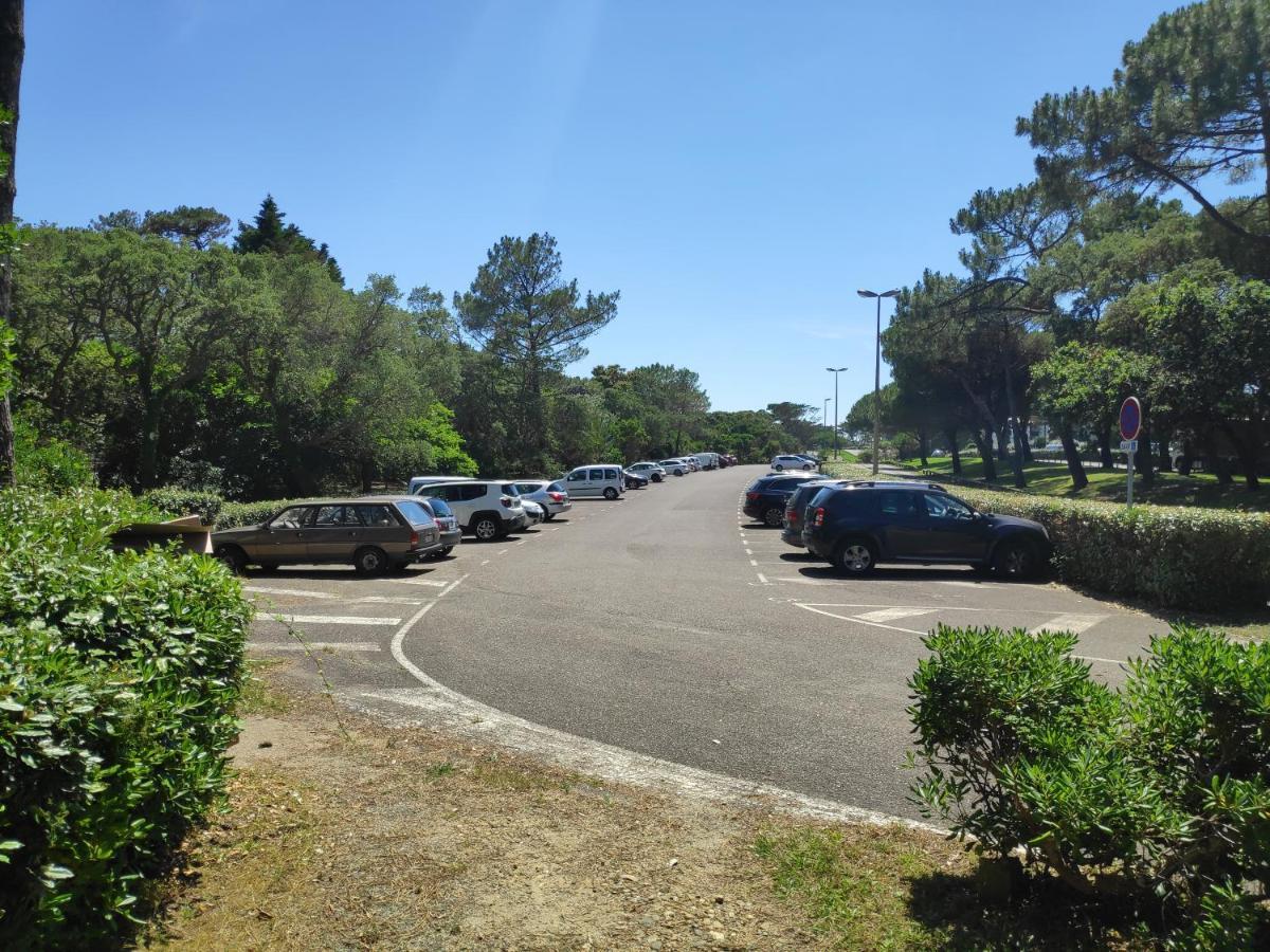 Appt Seignosse Le Penon - Plages Commerces A Pied Dış mekan fotoğraf